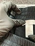 H&M Solid Black Track Pants Size L - photo 7