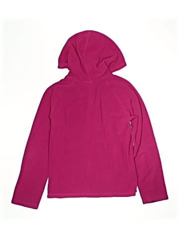 The North Face Zip Up Hoodie (view 2)
