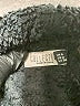 Assorted Brands 100% Polyester Black Turtleneck Sweater Size 2 - photo 7
