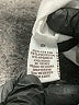 Assorted Brands White Short Sleeve T-Shirt Size 2X - photo 5