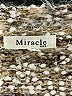 Miracle Tan Cardigan Size Sm - Med - photo 7