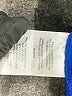 London Times Solid Blue Casual Dress Size 16 - photo 8