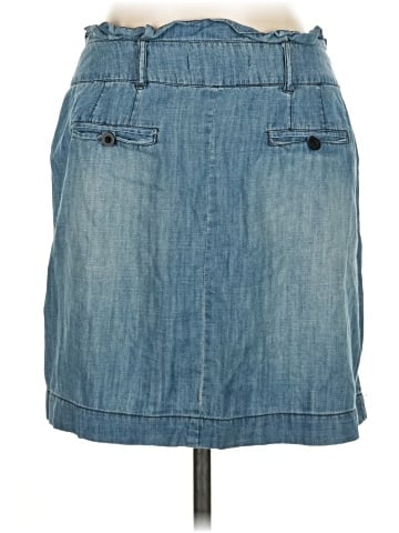 Life in Progress Denim Skirt (view 2)