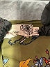 Everleigh Green 3/4 Sleeve Blouse Size XS - photo 7