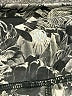 Lululemon Athletica Graphic Black Leggings Size 8 - photo 6