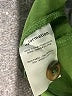 Reformation 100% Tencel Green Casual Pants Size 0 - photo 4