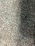 Assorted Brands Solid Black Casual Skirt Size S - photo 6