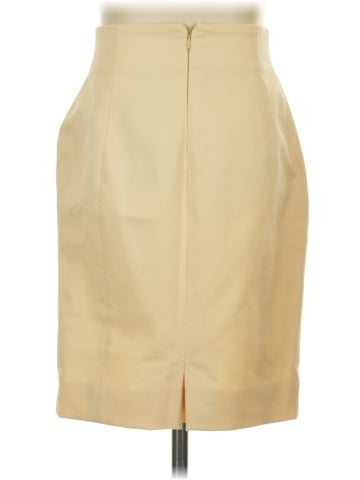 Agnona Formal Skirt (view 2)