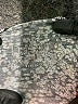 Decree Silver Blue Tank Top Size M - photo 7