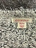 Xhilaration Metallic Silver Pullover Sweater Size XS - photo 7