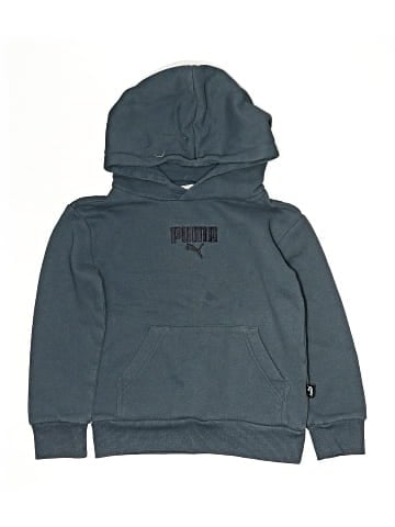 Puma Pullover Hoodie (view 1)