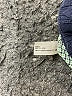 Baby Gap 100% Cotton Blue Casual Pants Size 12-18 mo - photo 4