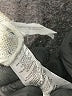 Ann Taylor LOFT Silver Turtleneck Sweater Size M - photo 8