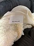 J.Crew Chevron-herringbone Ivory Formal Skirt Size 4 - photo 5