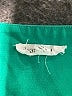 Dear Scarlett Solid Green Active Pants Size 1X - photo 4