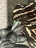 Dress Forum 100% Polyester Animal Print Black Long Sleeve Blouse Size M - photo 8