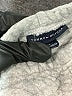 Tommy Hilfiger Gray Casual Pants 12-18 MO / 18 MO - photo 3