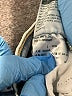 Denizen from Levi's Hearts Blue Jeans Size 3 - photo 5