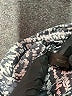 The Limited Black Short Sleeve Top Size XS - photo 8