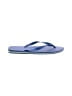 Havaianas Blue Flip Flops Size 45 - photo 1