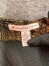 JM Collection Paisley Brown Cardigan Size M - photo 7