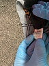 Heritage Solid Blue Jeans Size 16 - photo 8
