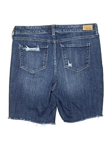 True Craft Denim Shorts (view 2)
