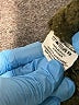 bluenotes' Tweed Green Pullover Sweater Size L - photo 8