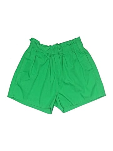 Urban Outfitters Shorts (view 1)
