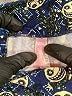 Lularoe Print Blue Active Pants One size - photo 4