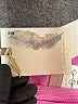 Jessica Simpson Pink Swimsuit Bottoms Size XL - photo 4