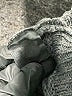 BB Dakota Gray Pullover Sweater Size L - photo 8