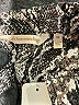 Soft Surroundings 100% Nylon Animal Print Black Coat Size XS - photo 6