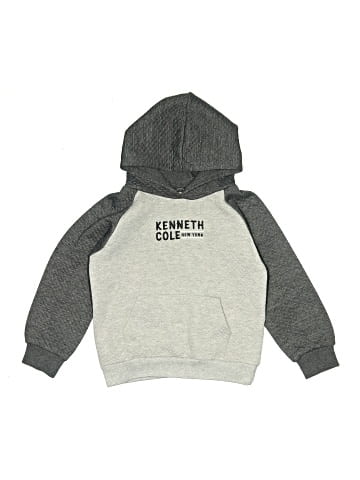Kenneth Cole Pullover Hoodie (view 1)