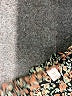 Unbranded 100% Polyester Brown Short Sleeve Blouse Size M - photo 7