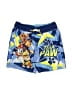 Nickelodeon 100% Polyester Blue Board Shorts Size 2T - photo 1