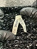 Mudd 100% Polyester Metallic Black Pullover Sweater Size M - photo 7