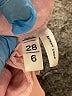 Ann Taylor LOFT Color Block Pink Jeans Size 28 waist - photo 8