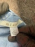 Miami Blue 3/4 Sleeve Button-Down Shirt Size S - photo 7