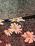 Unbranded Print Black Casual Dress Size 2X (estimated) - photo 4