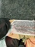 Primark Solid Tan Cargo Pants Size 4 - photo 5