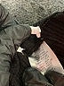 LA Made Black Dress Pants Size M - photo 8