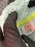 Wonder Nation 100% Polyester Green Snow Jacket Size 18 - photo 3