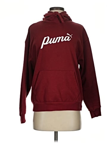 Puma Pullover Hoodie (view 1)