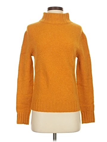 Point Sur Turtleneck Sweater (view 1)