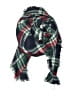 Assorted Brands Plaid Green Scarf One size - photo 1