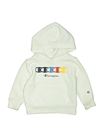 Champion Zip Up Hoodie (view 1)