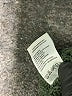 ABLE Green Turtleneck Sweater Size S - photo 8