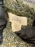 Kaisley Green Turtleneck Sweater Size XXS - photo 7