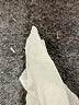 Halogen Tweed Gray Casual Dress Size 14 - photo 8